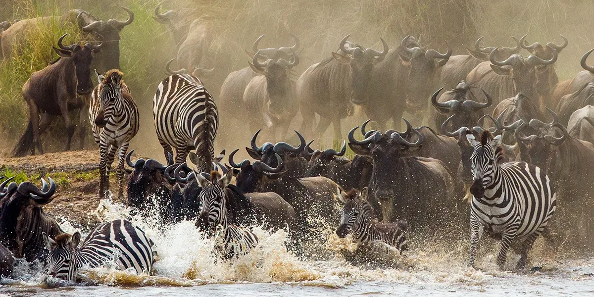 great-migration-river-crossing