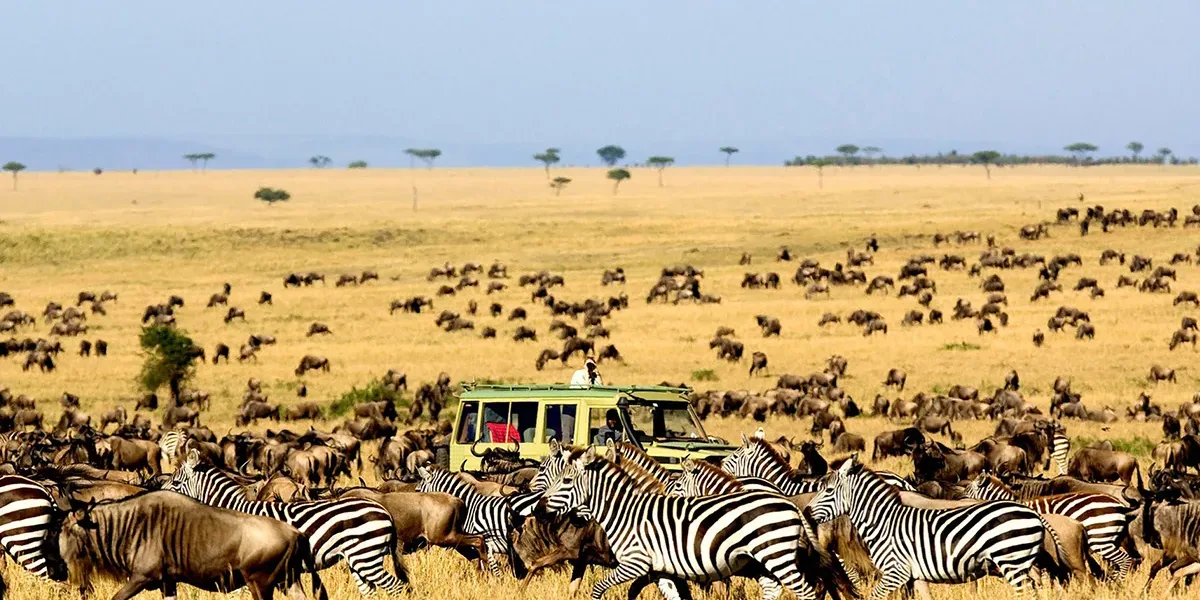 FI_Serengeti_Migration_Tanzania