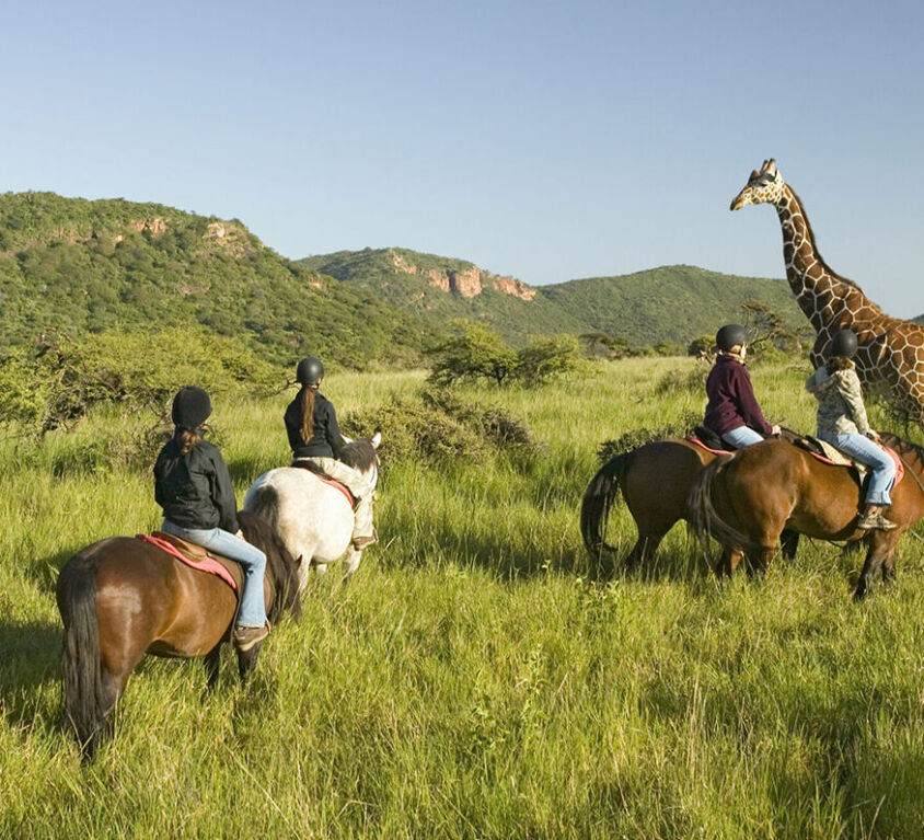 post-featured-image-horseback-safari