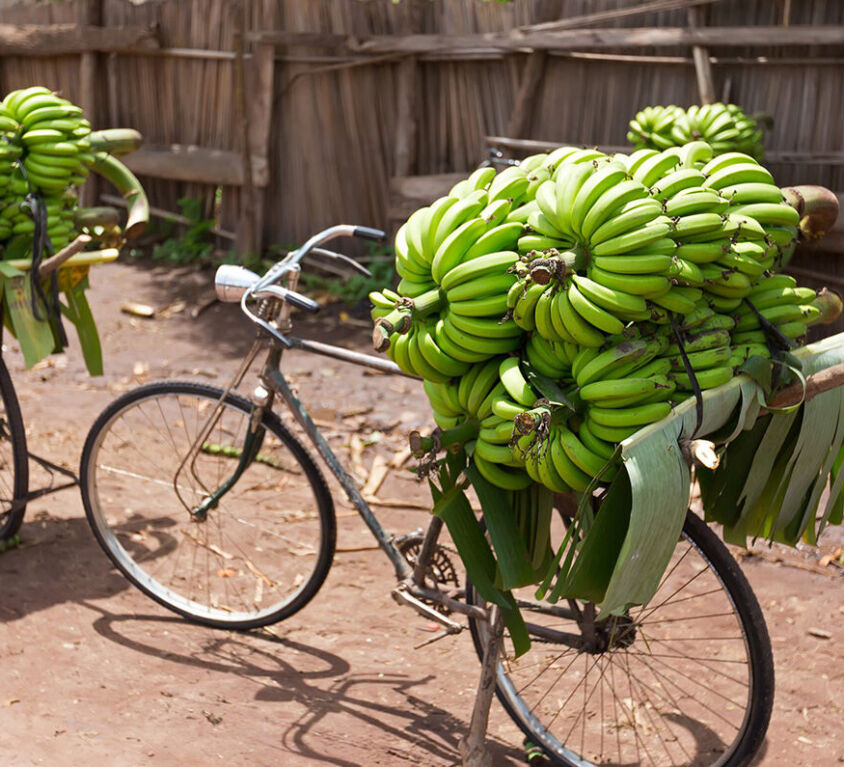 post-featured-image-cycle-tanzania