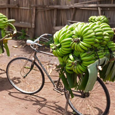post-featured-image-cycle-tanzania