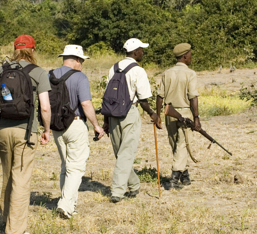 post-featured-image-walksafari-tanzania
