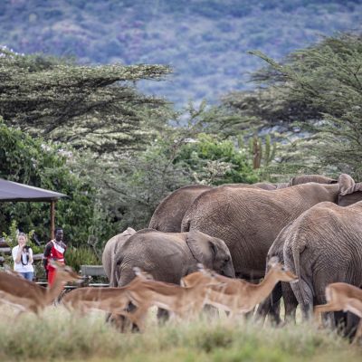 fika-safaris-enasoit-camp-feature