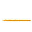 Fika Safaris